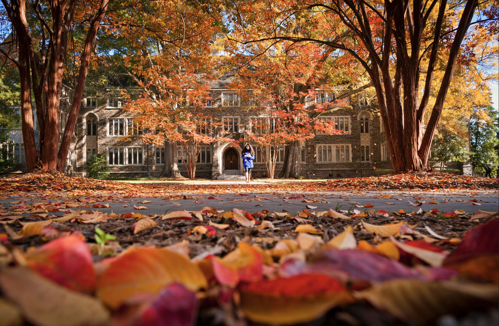 Duke's fall campus